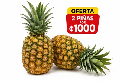 PIÑA OFERTA 
