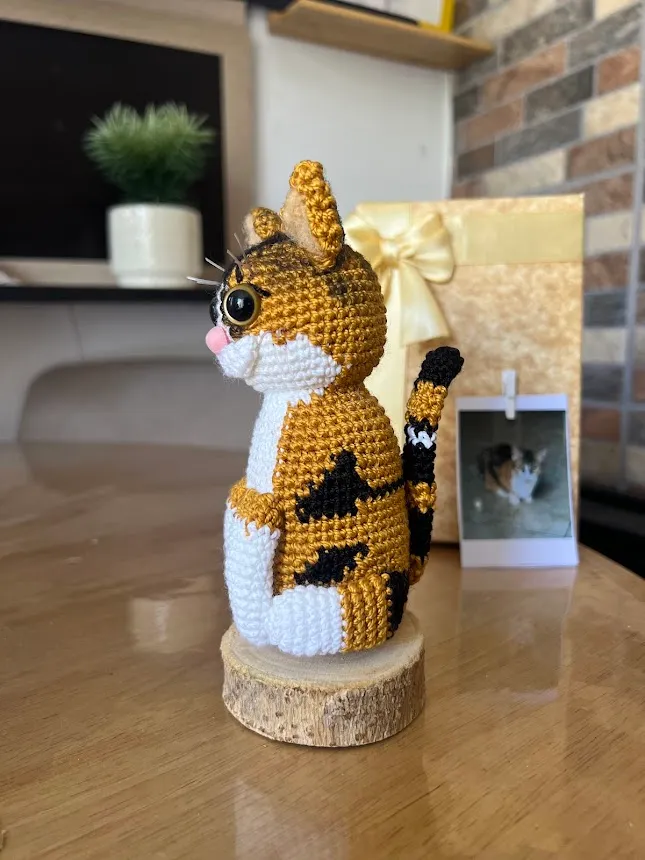 Gato personalizado - Image 5
