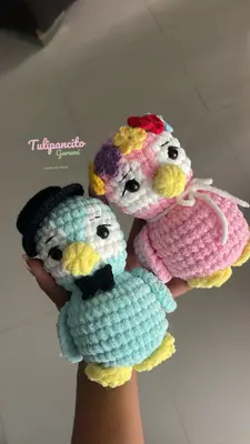 Pareja de pingüinos 🐧 