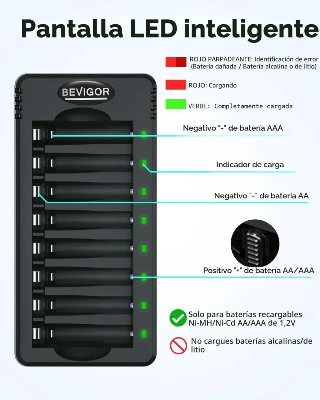 Cargador inteligente BEVIGOR de 8 compartimentos con 8 baterias recargables incluidas(4AAA+4AA) - Image 2
