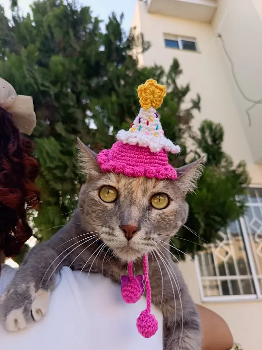 Gorrito de Cumpleaños para Gatos - Image 3