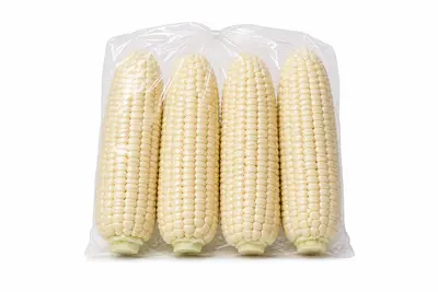 ELOTE BLANCO