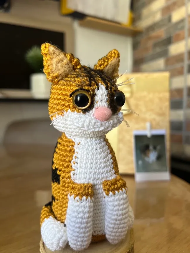 Gato personalizado - Image 2