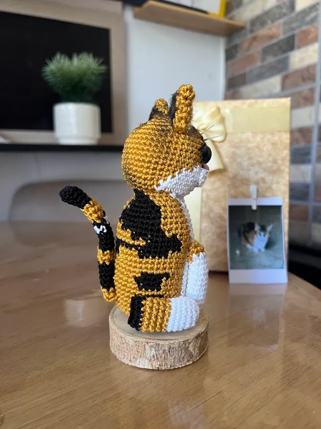 Gato personalizado - Image 4
