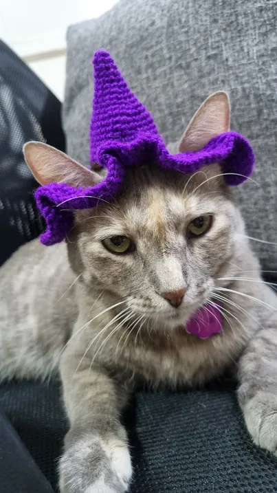 Gorro Bruj@ - Image 3