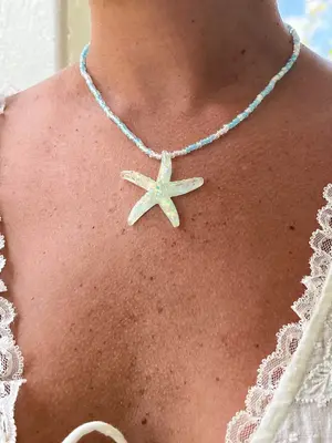 Collar Starfish