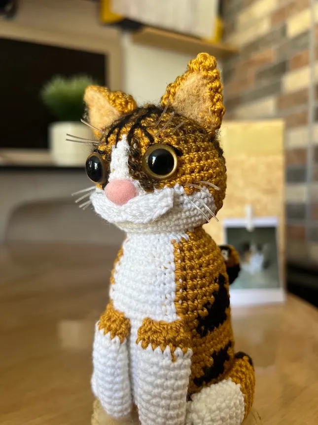 Gato personalizado - Image 6