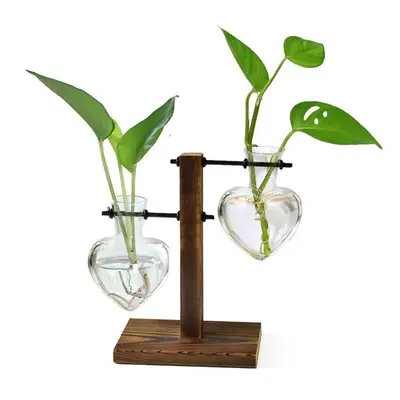 Terrario Hidropónico Retro con Soporte de Madera (2 Niveles) - Jarrón de Bombilla de Vidrio para Plantas Acuáticas y Decoración de Oficina y Hogar