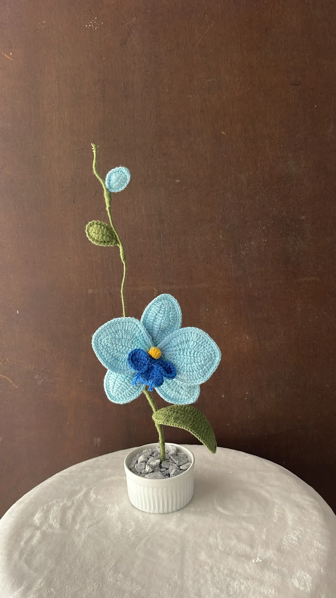 Orquídea 🍃 - Image 4