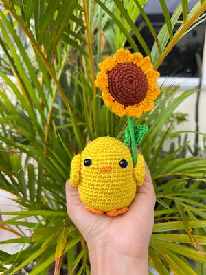 Pollito con Girasol