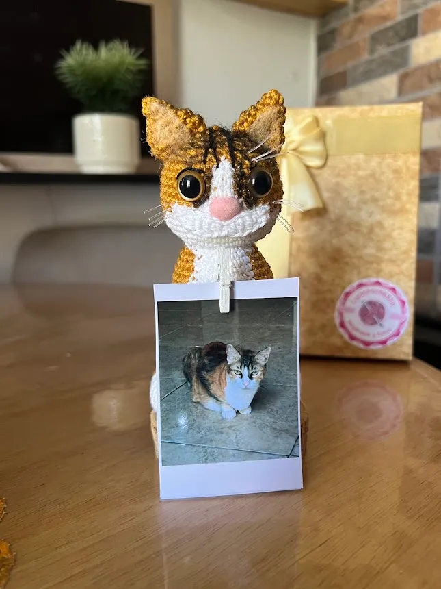 Gato personalizado - Image 3