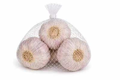 AJO MALLA