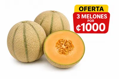 MELON OFERTA