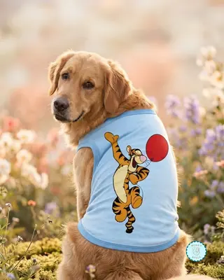 Chaleco Tigger
