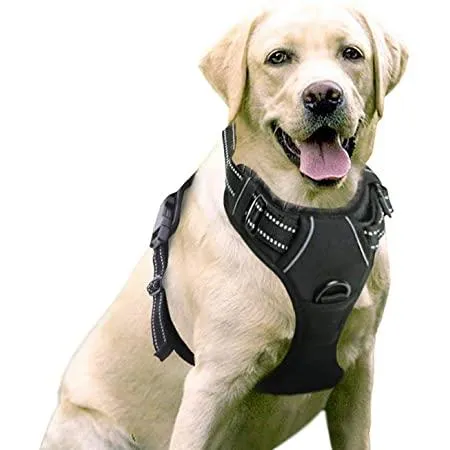 Pet Safety Harness L 65-80Cm - Negro - Image 1