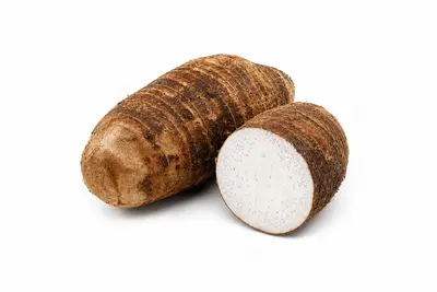 MALANGA