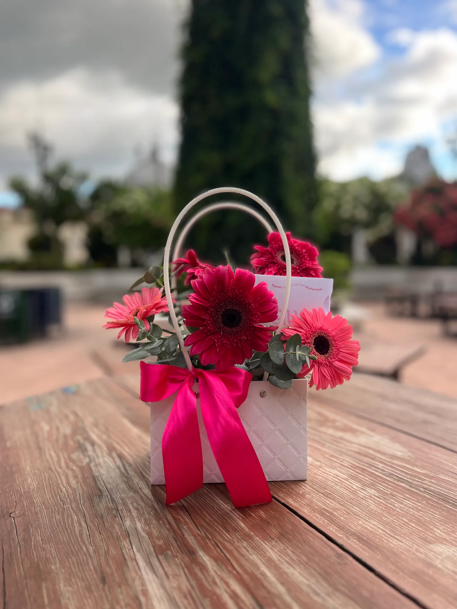 Cartera de Gerberas - Image 1