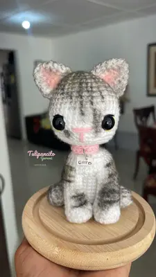 Gato personalizado 🐈 