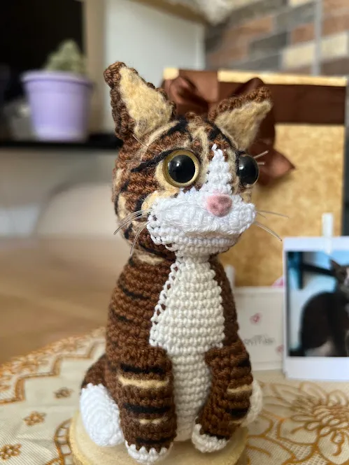 Gato Personalizado - Image 3