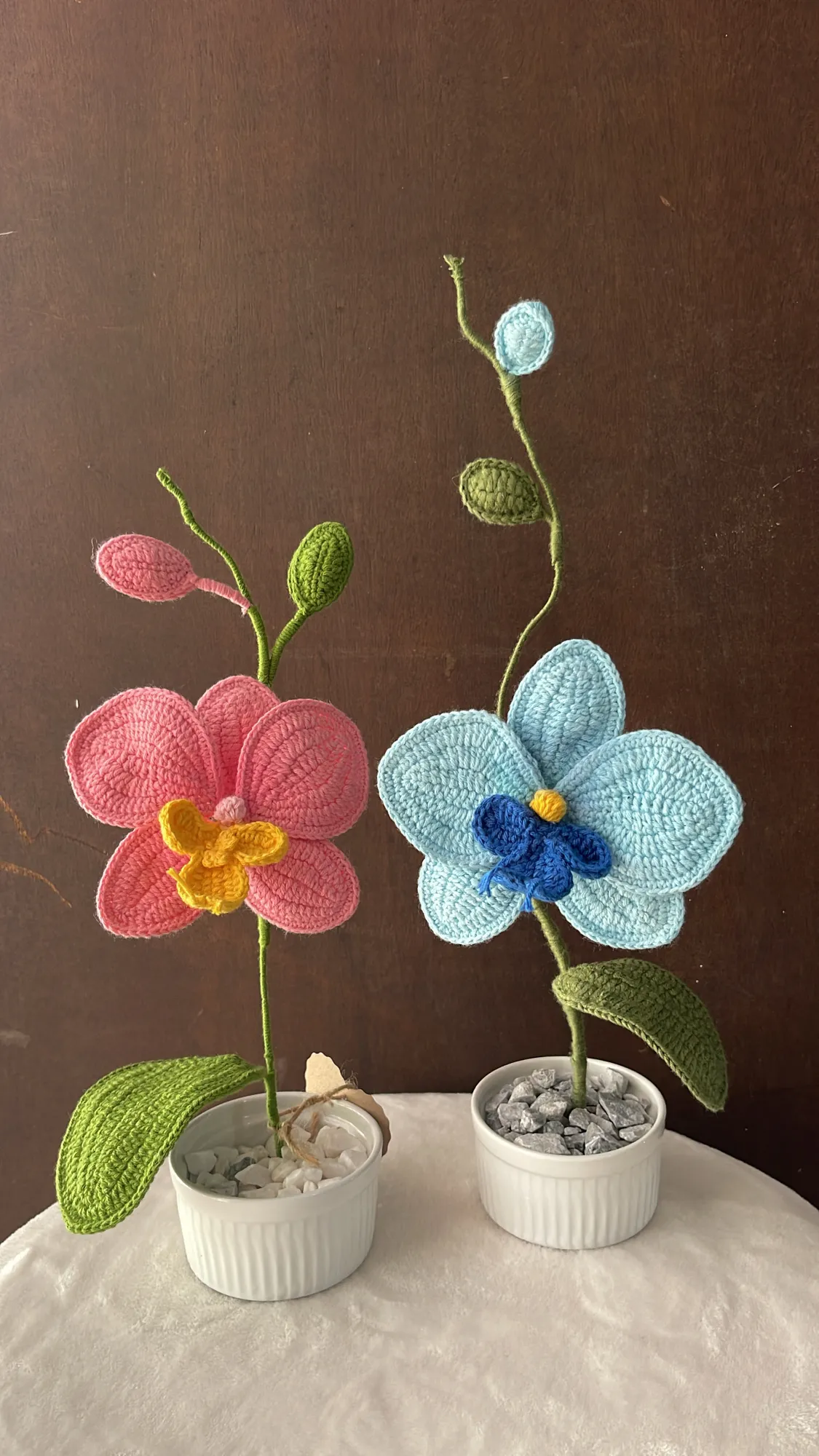Orquídea 🍃 - Image 5