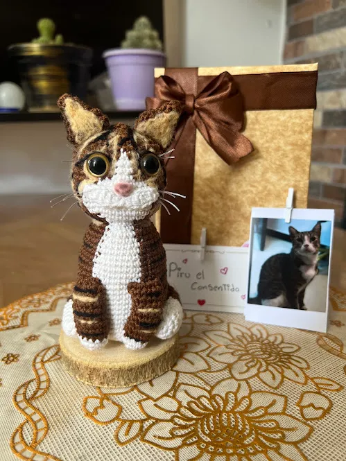 Gato Personalizado - Image 2