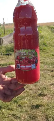 Asado