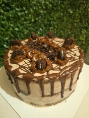 Torta de chocolate desnuda 