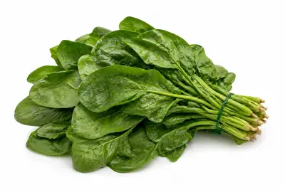 ESPINACA