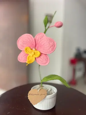 Orquídea 🍃