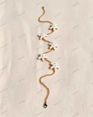 Estrellas de mar en mostacilla