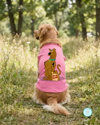 Chaleco Scooby Doo