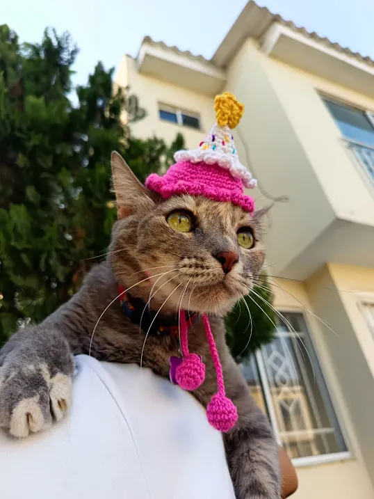 Gorrito de Cumpleaños para Gatos - Image 2
