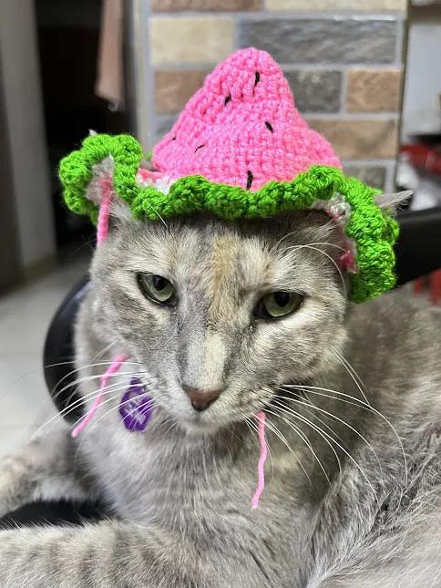 Gorro Sandia - Image 2