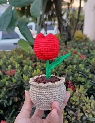Mini Maceta Tulipán