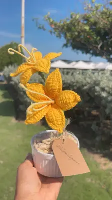 Maceta de lirios  🌺 