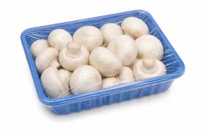 HONGOS ENTEROS