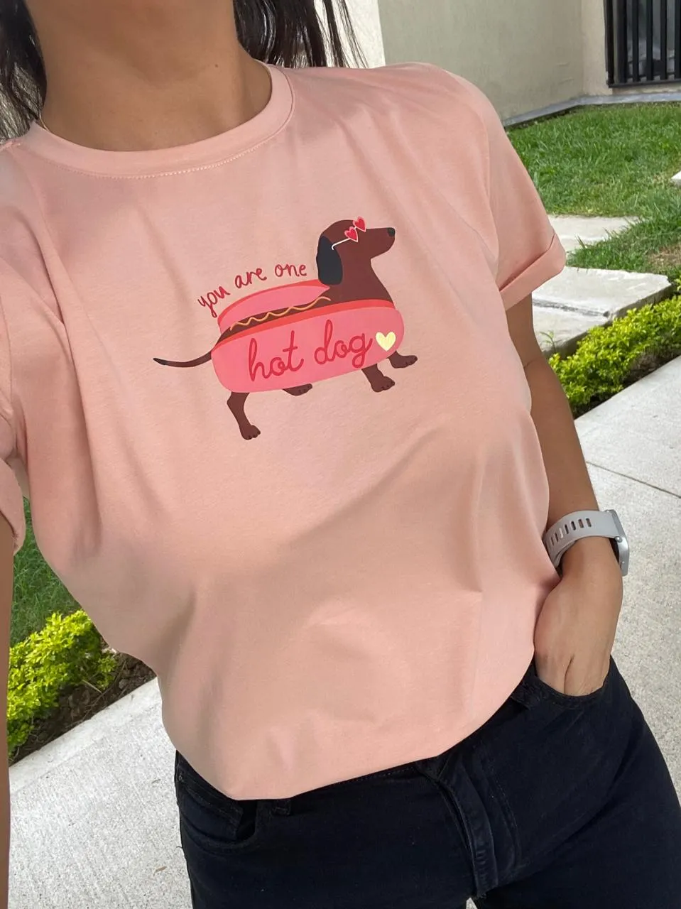 Perro Salchicha - Image 1