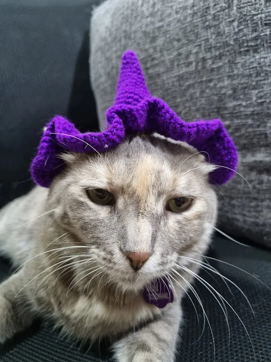 Gorro Bruj@ - Image 2
