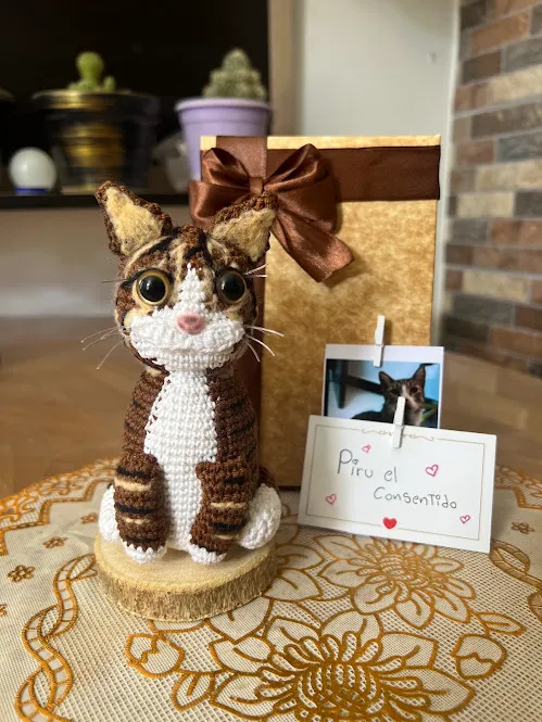 Gato Personalizado - Image 4