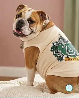 Chaleco Gryffindor/Slytherin