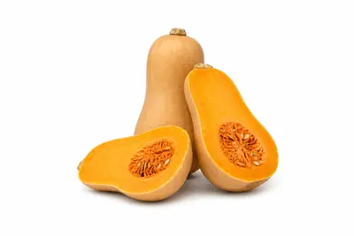AYOTE MANTEQUILLA