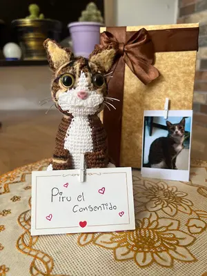Gato Personalizado