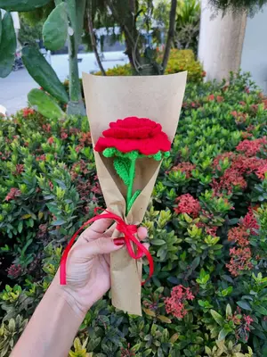 Rosa Pequeña